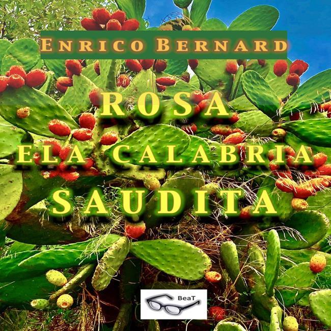 Libraccio Rosa e la Calabria "Saudita" (audiolibro)