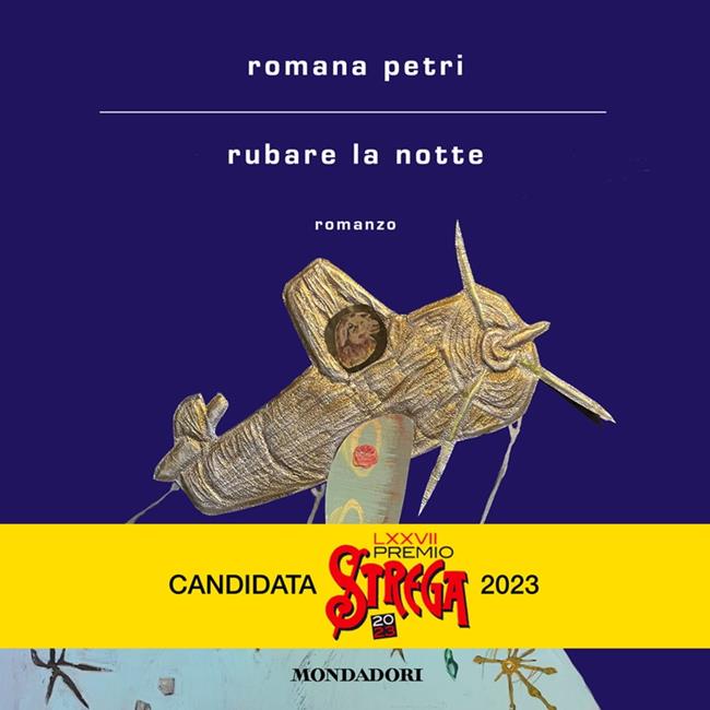 Libraccio Rubare la notte (audiolibro)