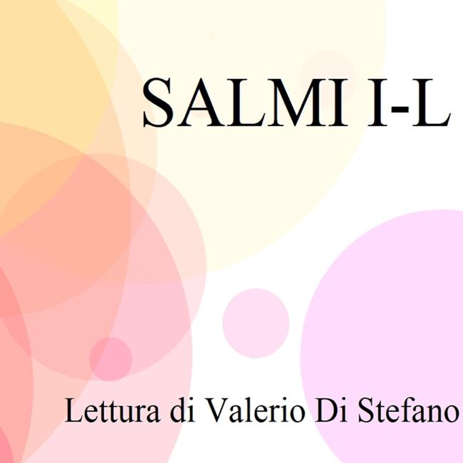 Libraccio Salmi I-L (audiolibro)