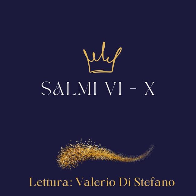 Libraccio Salmi VI - X (audiolibro)