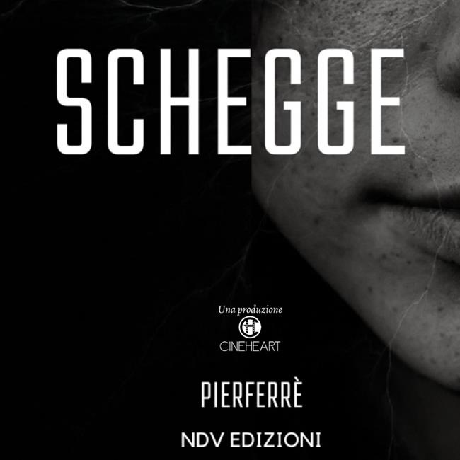 Libraccio Schegge (audiolibro)