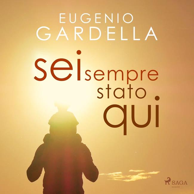 Libraccio Sei sempre stato qui (audiolibro)