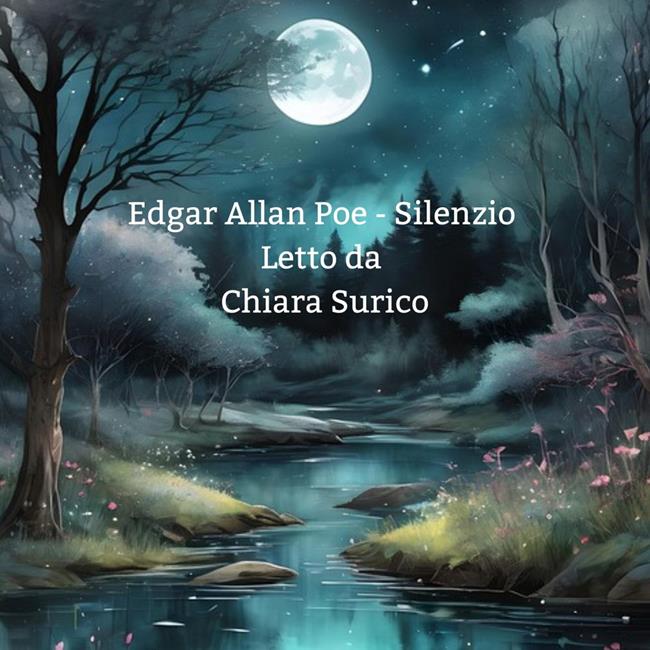 Libraccio Silenzio (audiolibro)