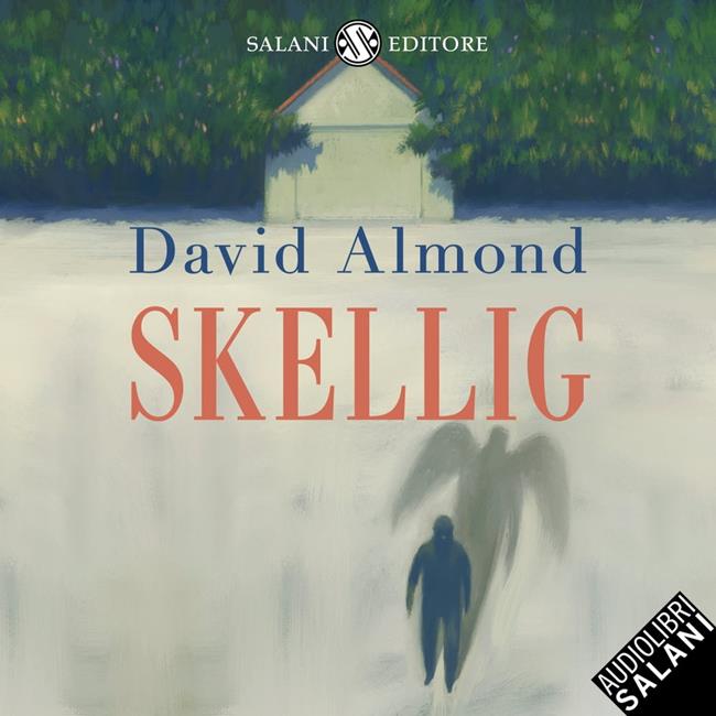 Libraccio Skellig (audiolibro)