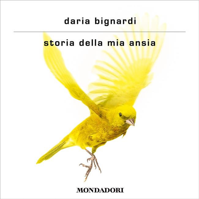 Libraccio Storia della mia ansia (audiolibro)