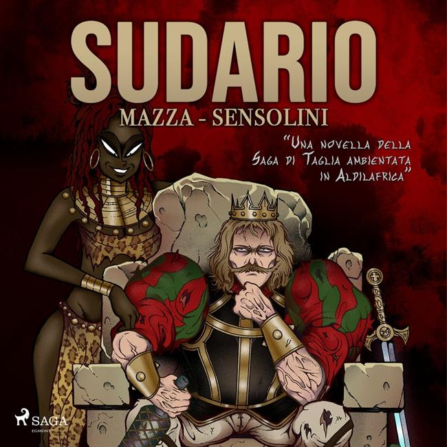 Libraccio Sudario (audiolibro)