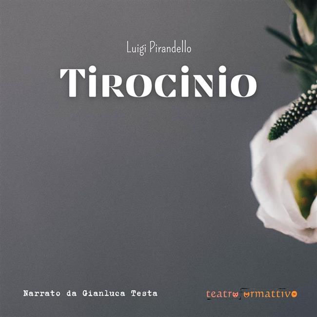 Libraccio Tirocinio (audiolibro)