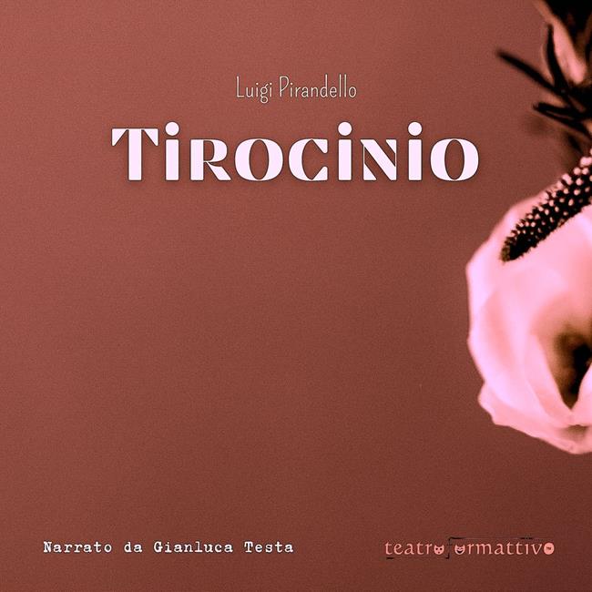 Libraccio Tirocinio (audiolibro)