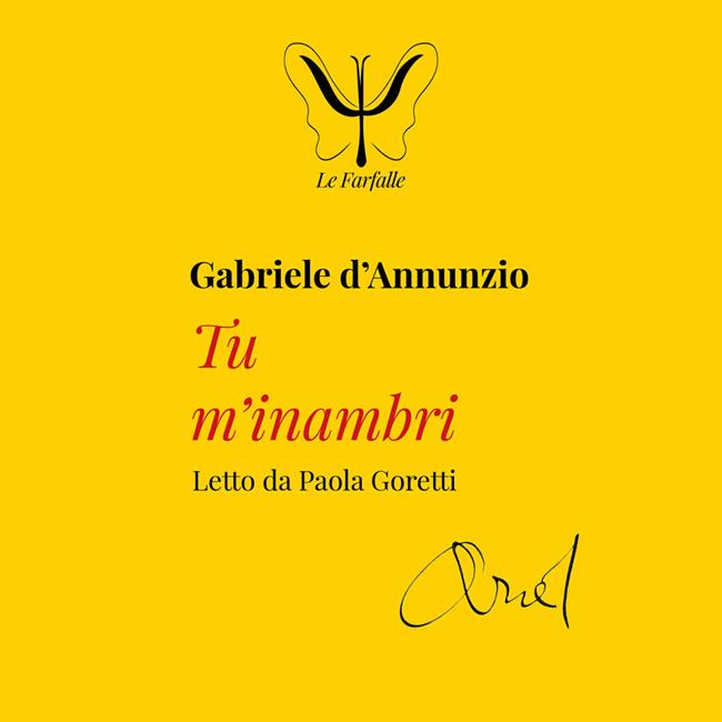 Libraccio Tu m'inambri (audiolibro)
