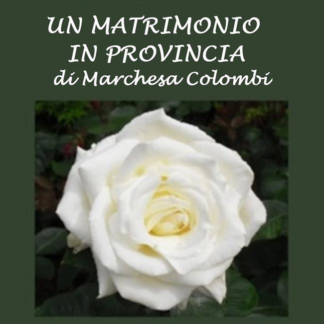 Libraccio Un matrimonio in provincia (audiolibro)