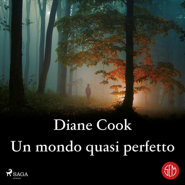Libraccio Un mondo quasi perfetto (audiolibro)