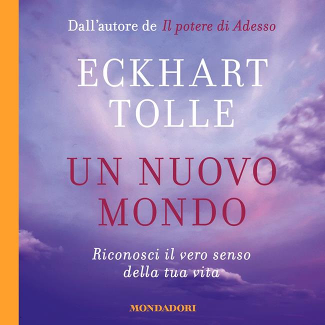 Libraccio Un nuovo mondo (audiolibro)
