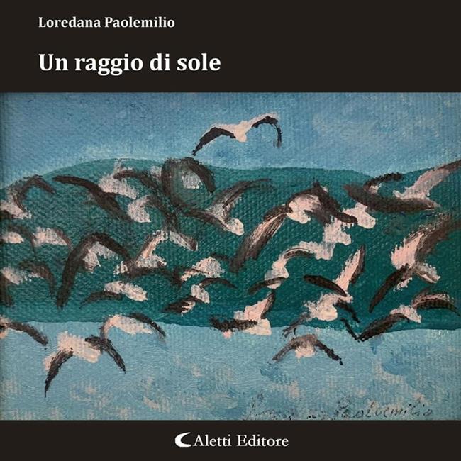 Libraccio Un raggio di sole (audiolibro)