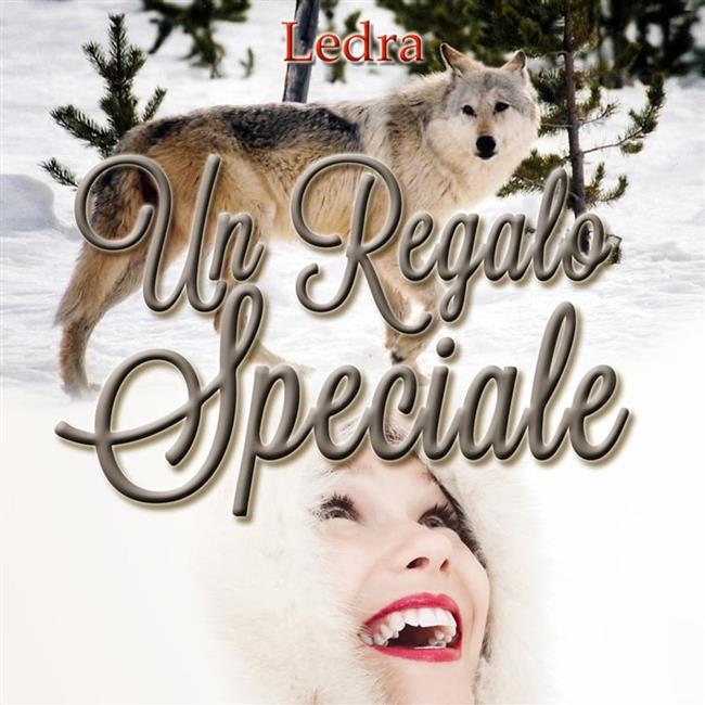 Libraccio Un regalo speciale (audiolibro)