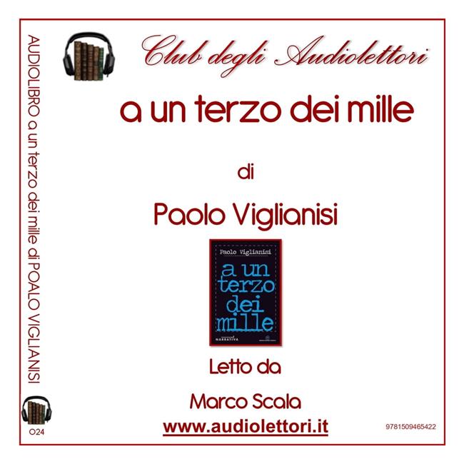 Libraccio Un Terzo Dei Mille A (audiolibro)
