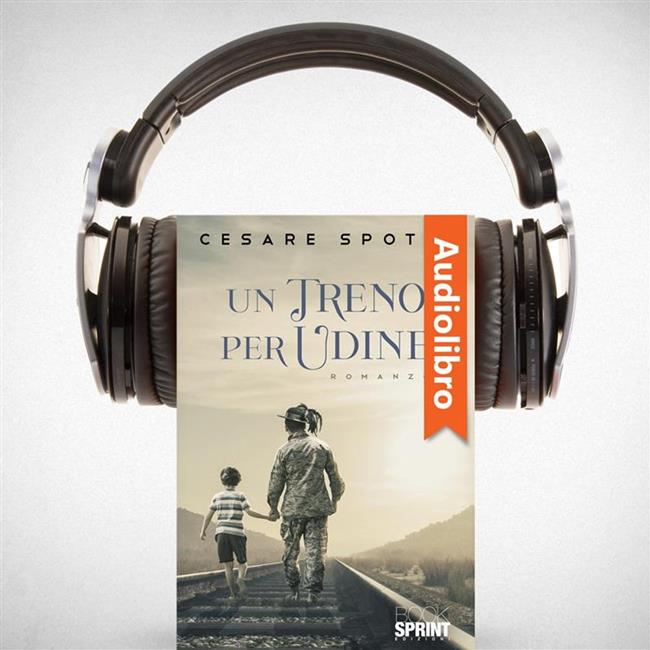 Libraccio Un treno per Udine (audiolibro)