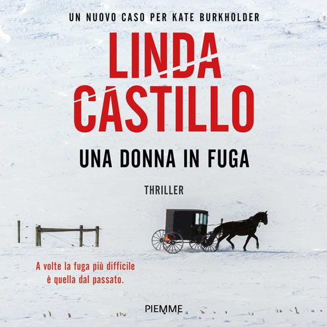 Libraccio Una donna in fuga (audiolibro)