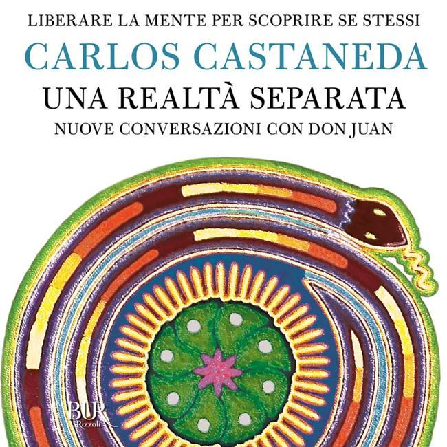 Libraccio Una realtà separata (audiolibro)