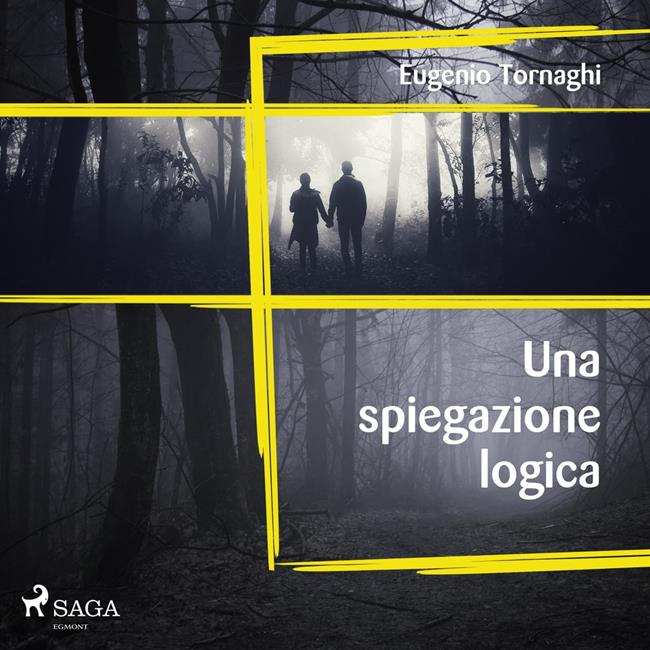 Libraccio Una spiegazione logica (audiolibro)
