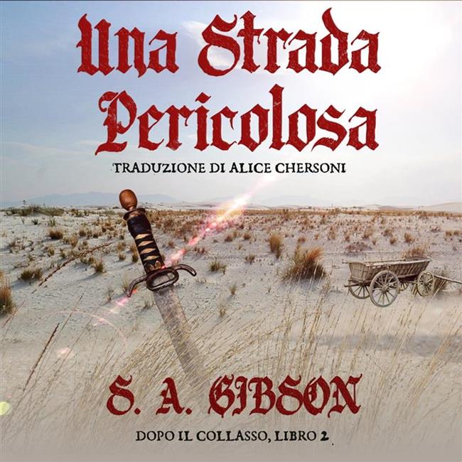 Libraccio Una Strada Pericolosa (audiolibro)