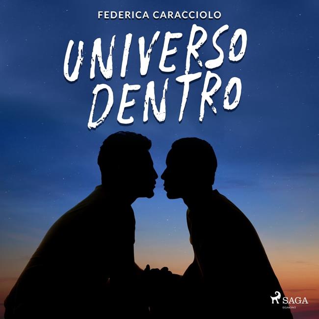 Libraccio Universo dentro (audiolibro)