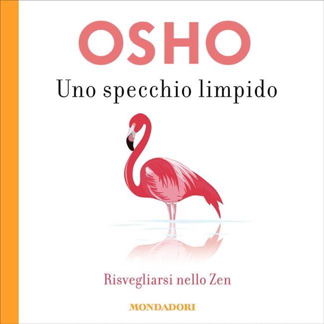 Libraccio Uno specchio limpido (audiolibro)