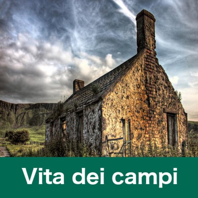 Libraccio Vita dei campi (audiolibro)