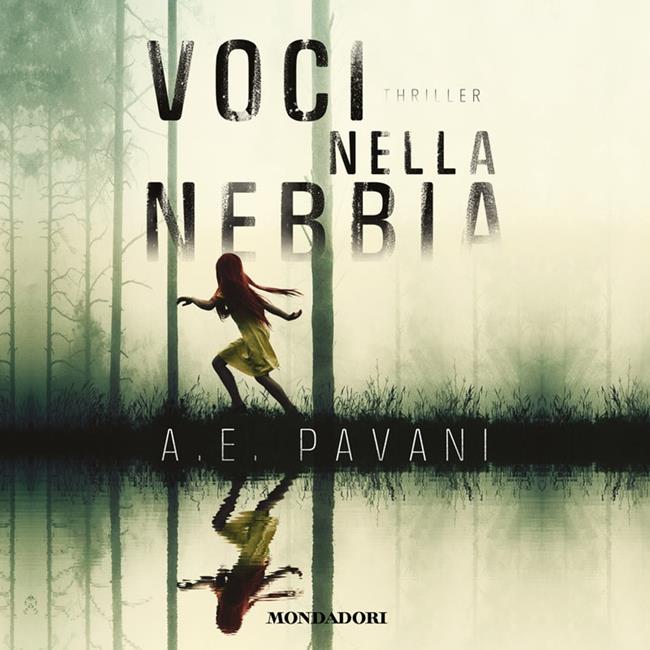 Libraccio Voci nella nebbia (audiolibro)