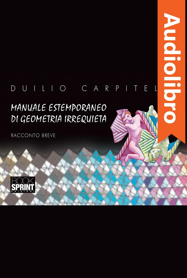 Libraccio Manuale estemporaneo di geometria irrequieta (audiolibro)