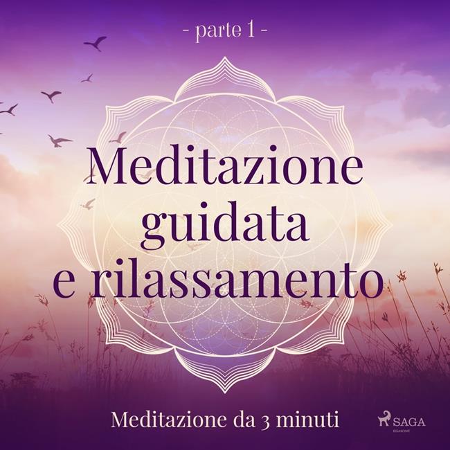 Libraccio Meditazione guidata e rilassamento (parte 1) - Meditazione da 3 minuti (audiolibro)