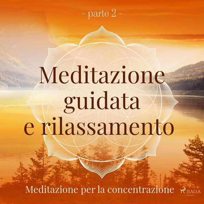 Libraccio Meditazione guidata e rilassamento (parte 2) - Meditazione per la concentrazione (audiolibro)