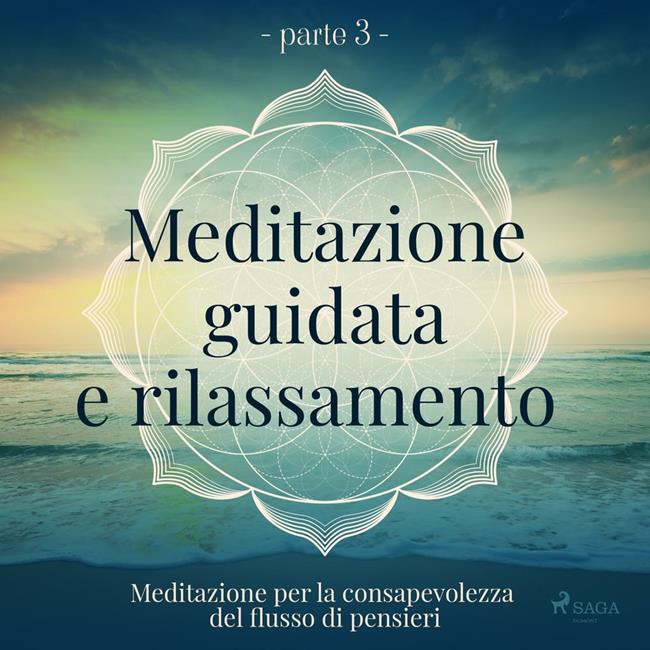 Libraccio Meditazione guidata e rilassamento (parte 3) - Meditazione per la consapevolezza del flusso di pensieri (audiolibro)