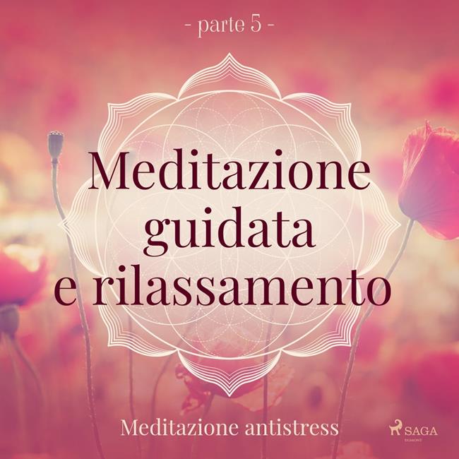 Libraccio Meditazione guidata e rilassamento (parte 5) - Meditazione antistress (audiolibro)