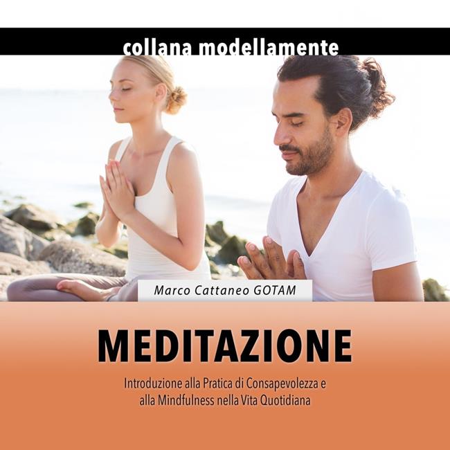 Libraccio Meditazione: Introduzione alla Pratica di Consapevolezza e alla Mindfulness nella Vita Quotidiana (audiolibro)