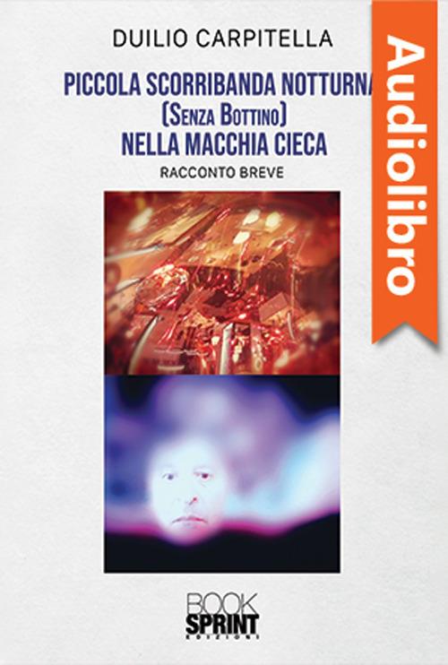 Libraccio Piccola scorribanda notturna (senza bottino) nella macchia cieca (audiolibro)