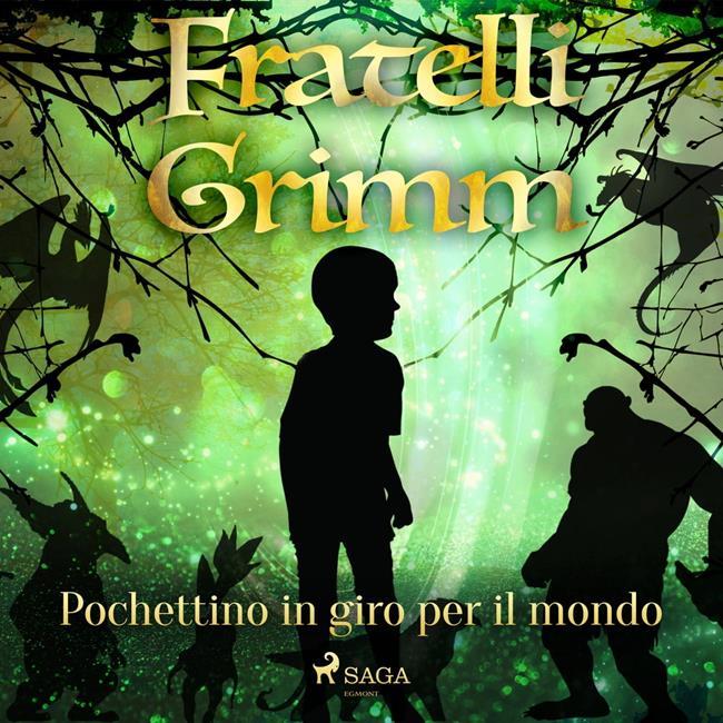 Libraccio Pochettino in giro per il mondo (audiolibro)
