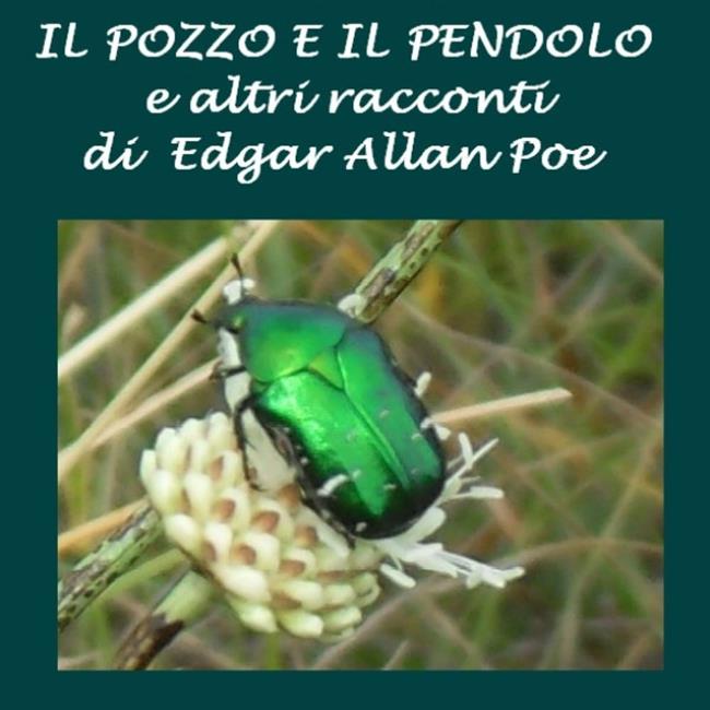 Libraccio Pozzo e il pendolo e altri racconti Il (audiolibro)