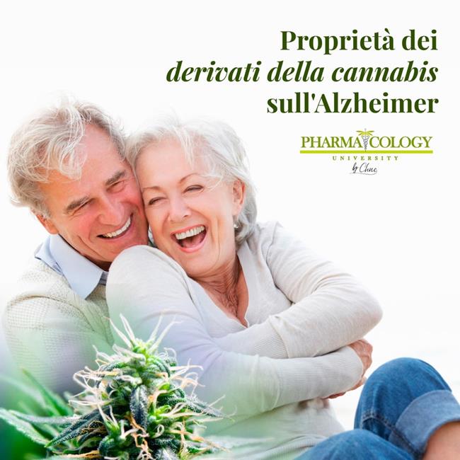 Libraccio Proprietà dei derivati della cannabis sull'Alzheimer (audiolibro)