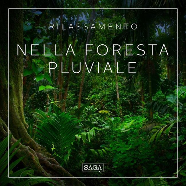 Libraccio Rilassamento - Nella foresta pluviale (audiolibro)
