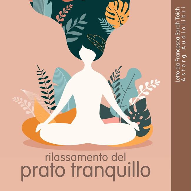 Libraccio Rilassamento tranquillo del prato (audiolibro)