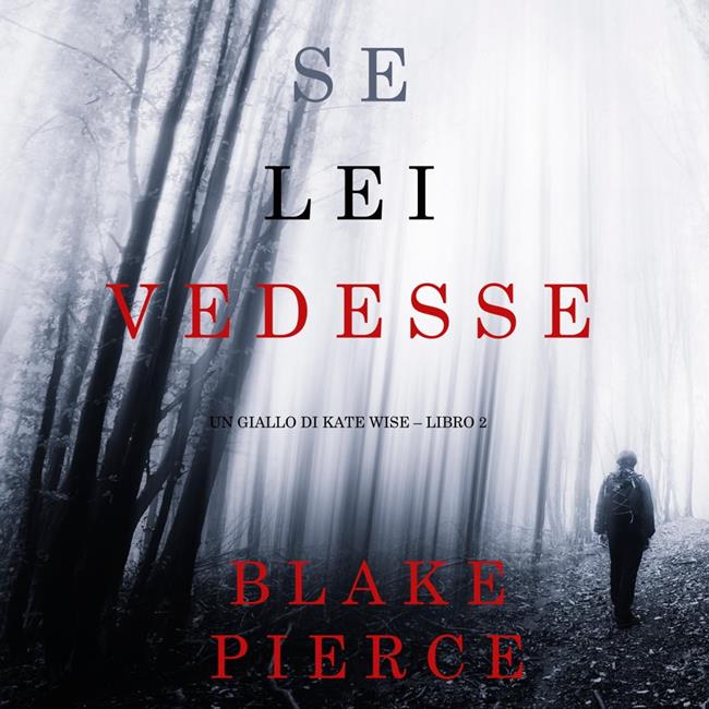 Libraccio Se lei vedesse (Un giallo di Kate Wise – Libro 2) (audiolibro)