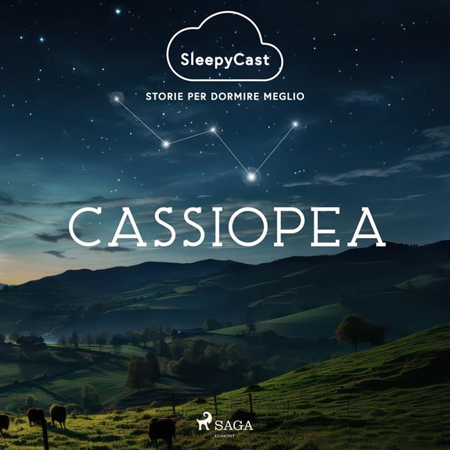 Libraccio SleepyCast. Storie per dormire meglio 1.7 (audiolibro)