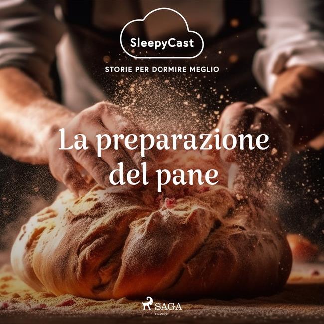 Libraccio SleepyCast. Storie per dormire meglio 2.5 (audiolibro)