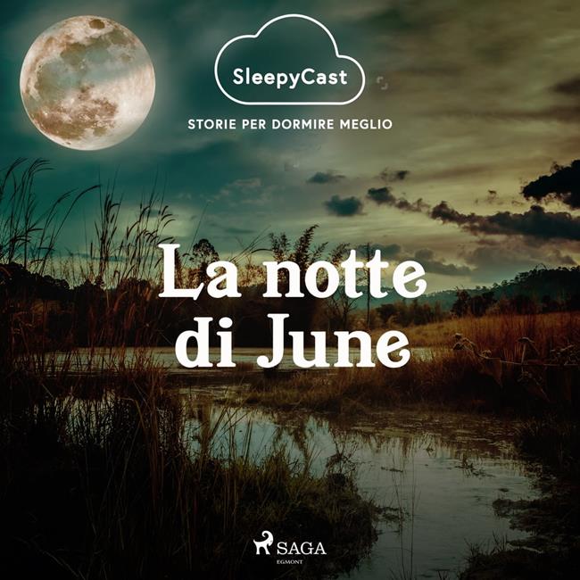 Libraccio SleepyCast. Storie per dormire meglio 2.6 (audiolibro)