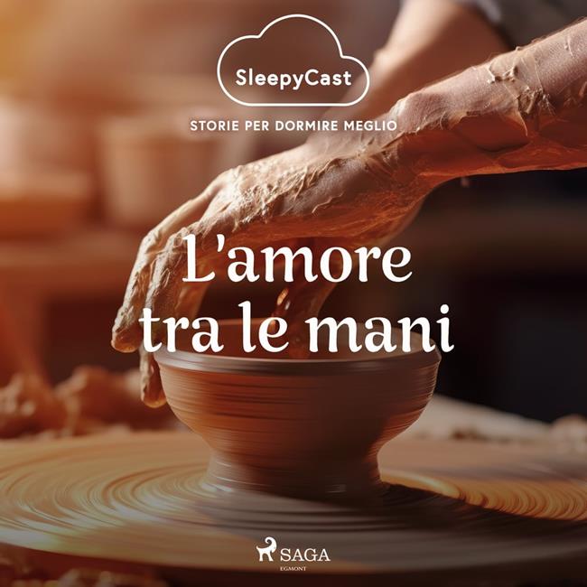 Libraccio SleepyCast. Storie per dormire meglio 2.7 (audiolibro)