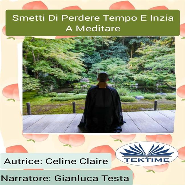 Libraccio Smetti Di Perdere Tempo E Inizia A Meditare (audiolibro)