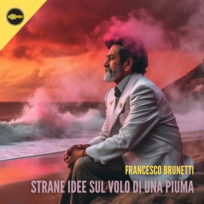 Libraccio Strane idee sul volo di una piuma (audiolibro)