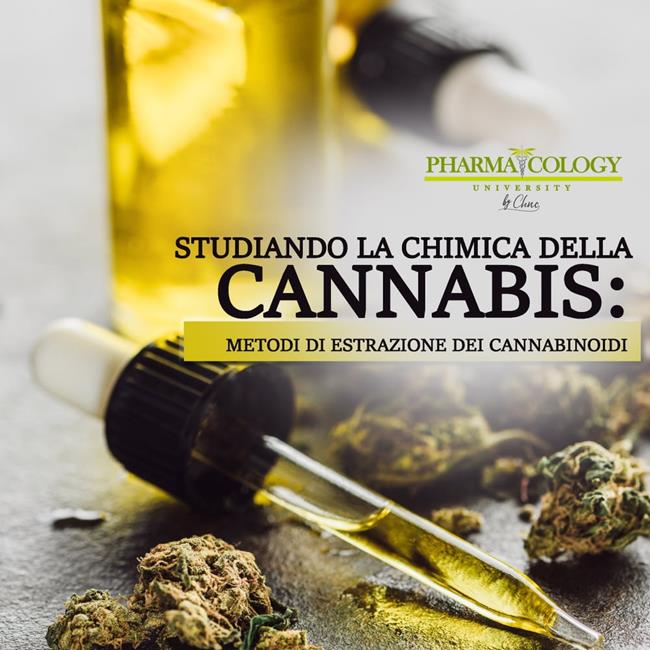 Libraccio Studiando la chimica della cannabis: metodi di estrazione dei cannabinoidi (audiolibro)