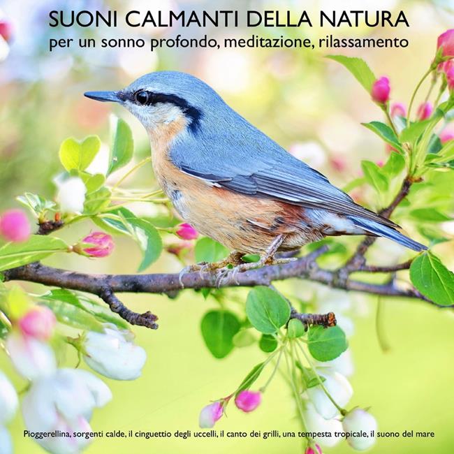 Libraccio Suoni calmanti della natura (senza musica) per un sonno profondo meditazione rilassamento (audiolibro)