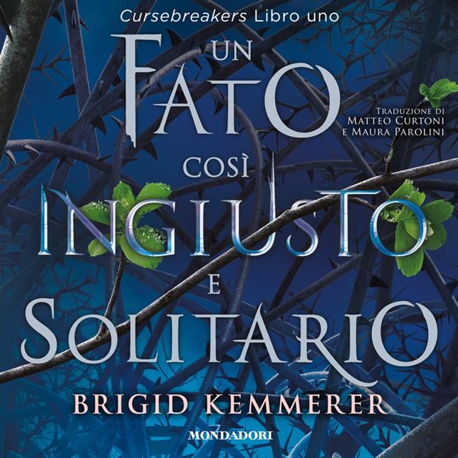 Libraccio Un fato così ingiusto e solitario (audiolibro)